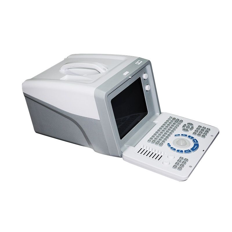 Medical 3D Portable Ultrasound Machine Scanner system Transvaginal probe Clinic DIAGNOSTIC ULTRASOUND MACHINES FOR SALE