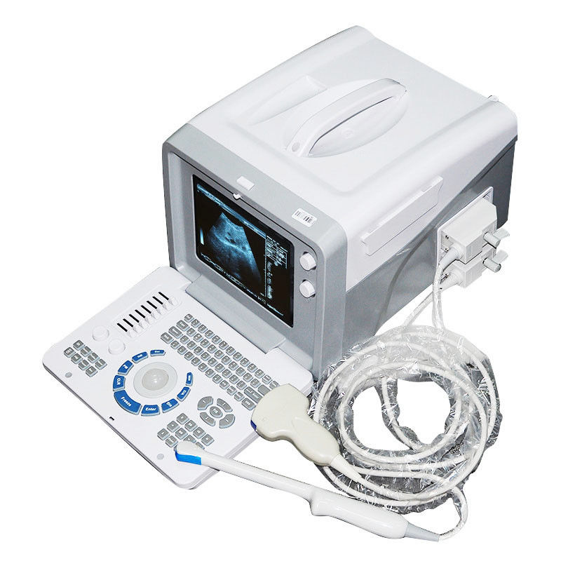 Medical Ultrasound Scanner,Convex,Linear,Transvaginal,Mico-convex Probe,Printer 190891973115 DIAGNOSTIC ULTRASOUND MACHINES FOR SALE