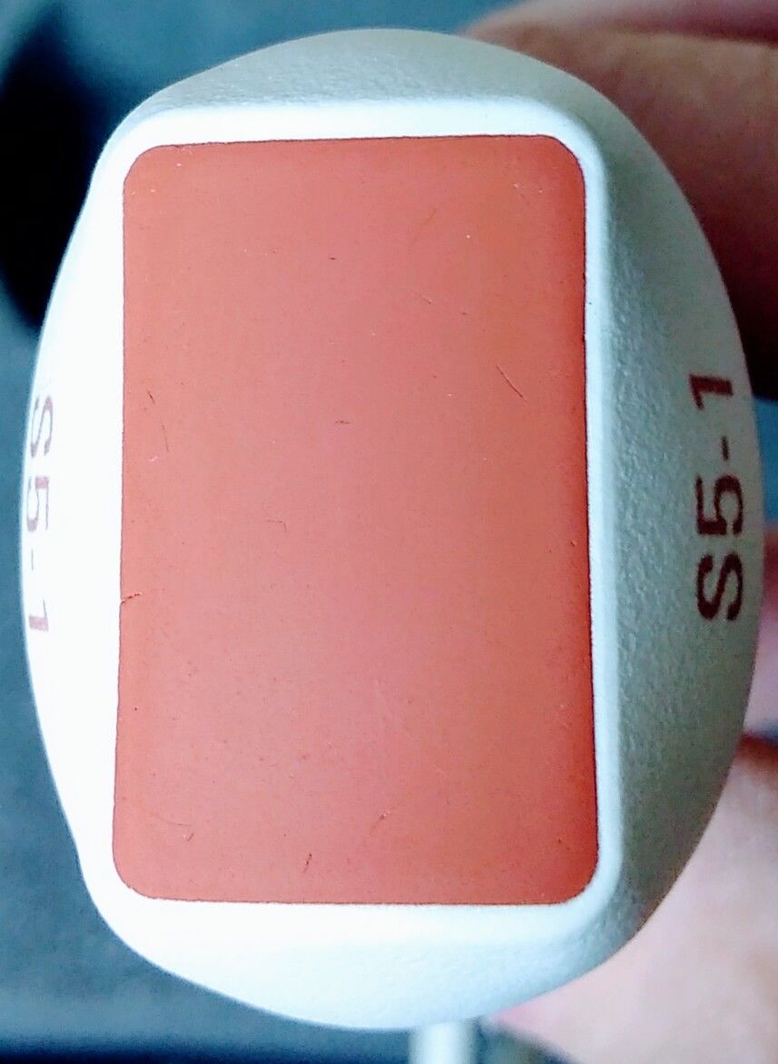 closeup of red head