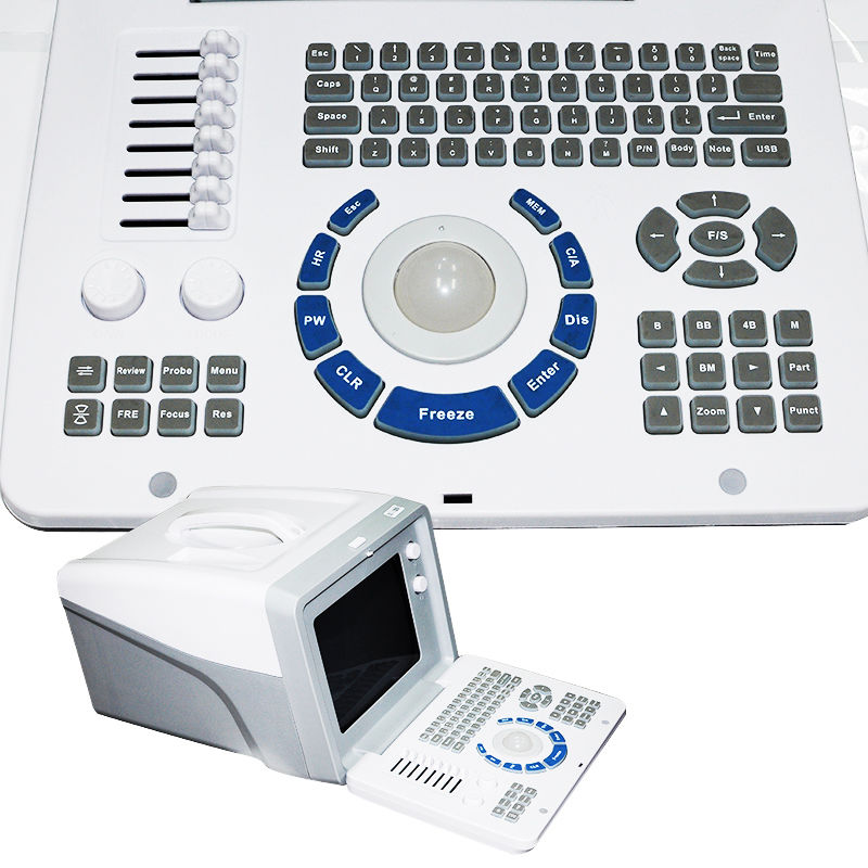 New Digital Ultrasound machine Scanner System Convex + linear Probe +3D Set pack 190891758668 DIAGNOSTIC ULTRASOUND MACHINES FOR SALE