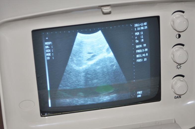 High Quality Veterinary Portable Ultrasound Scanner Machine + Rectal Probe +CE DIAGNOSTIC ULTRASOUND MACHINES FOR SALE