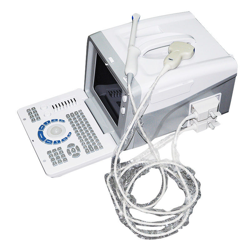 Digital B Ultrasound Scanner Machine Convex/Curved+Transvaginal  Probe Sale 3D DIAGNOSTIC ULTRASOUND MACHINES FOR SALE
