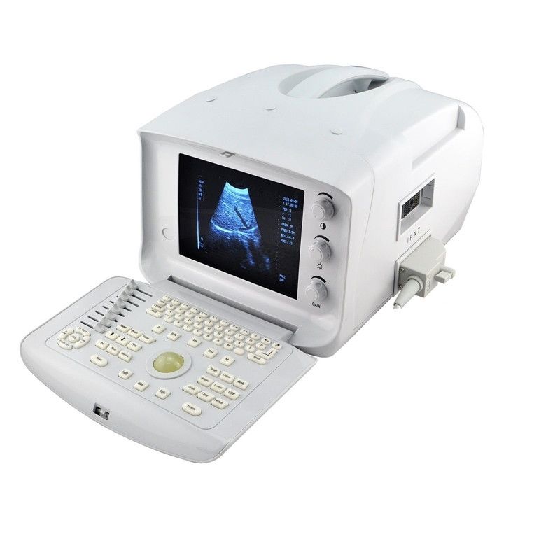 Digital Ultrasound Scanner Machine Convex +Linear 2 Probes Free 3D Software CE 190891732316 DIAGNOSTIC ULTRASOUND MACHINES FOR SALE